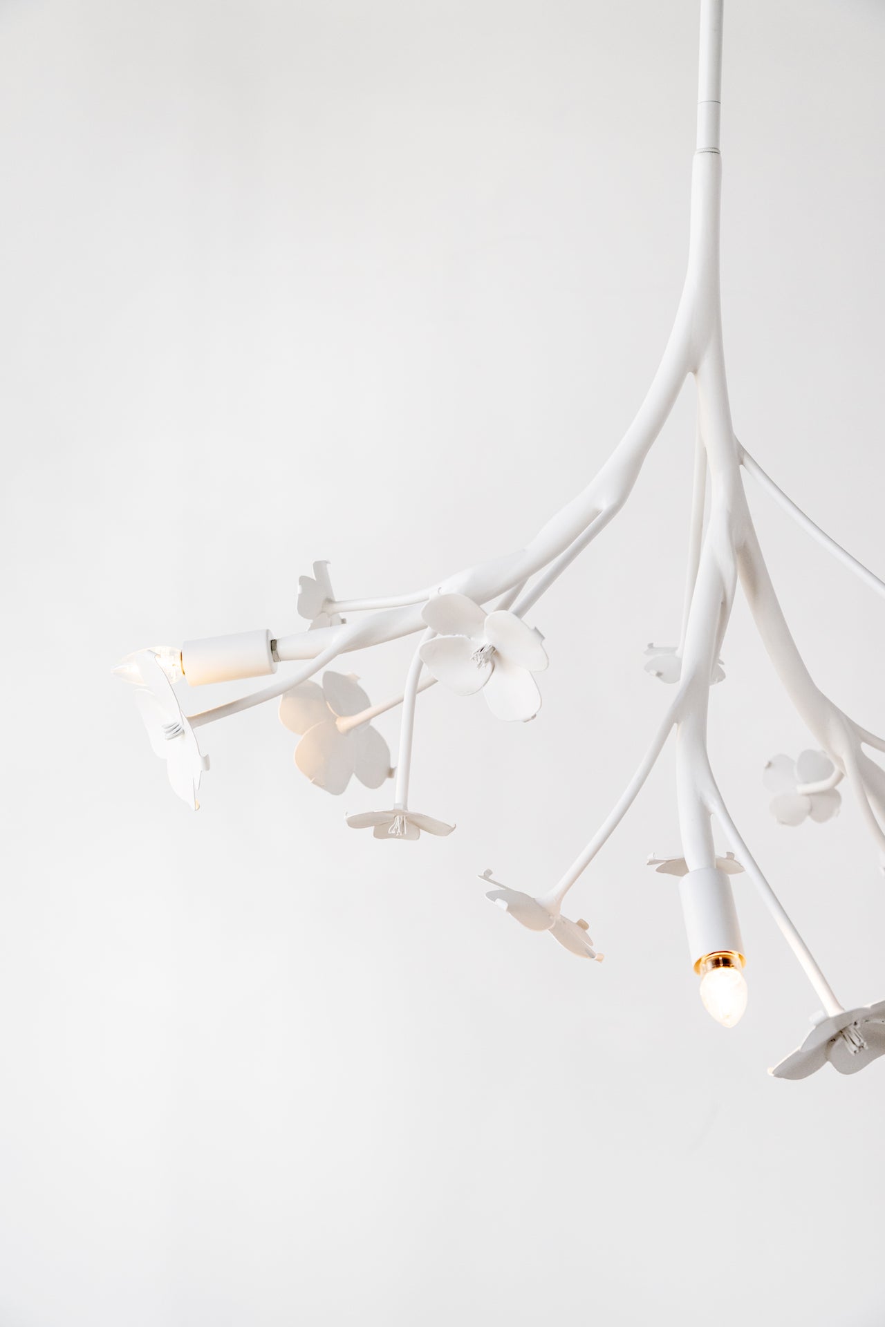 Ala - White Dogwood Branch Chandelier