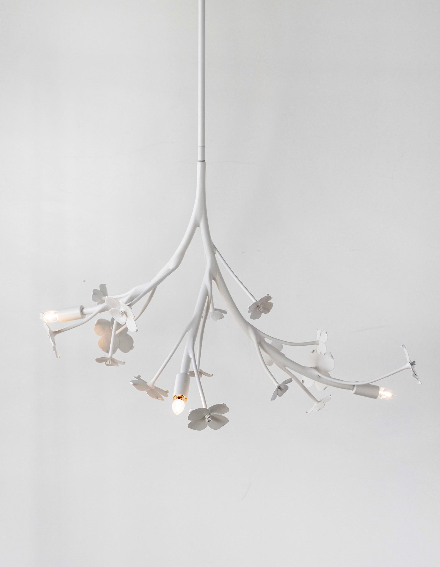 Ala - White Dogwood Branch Chandelier